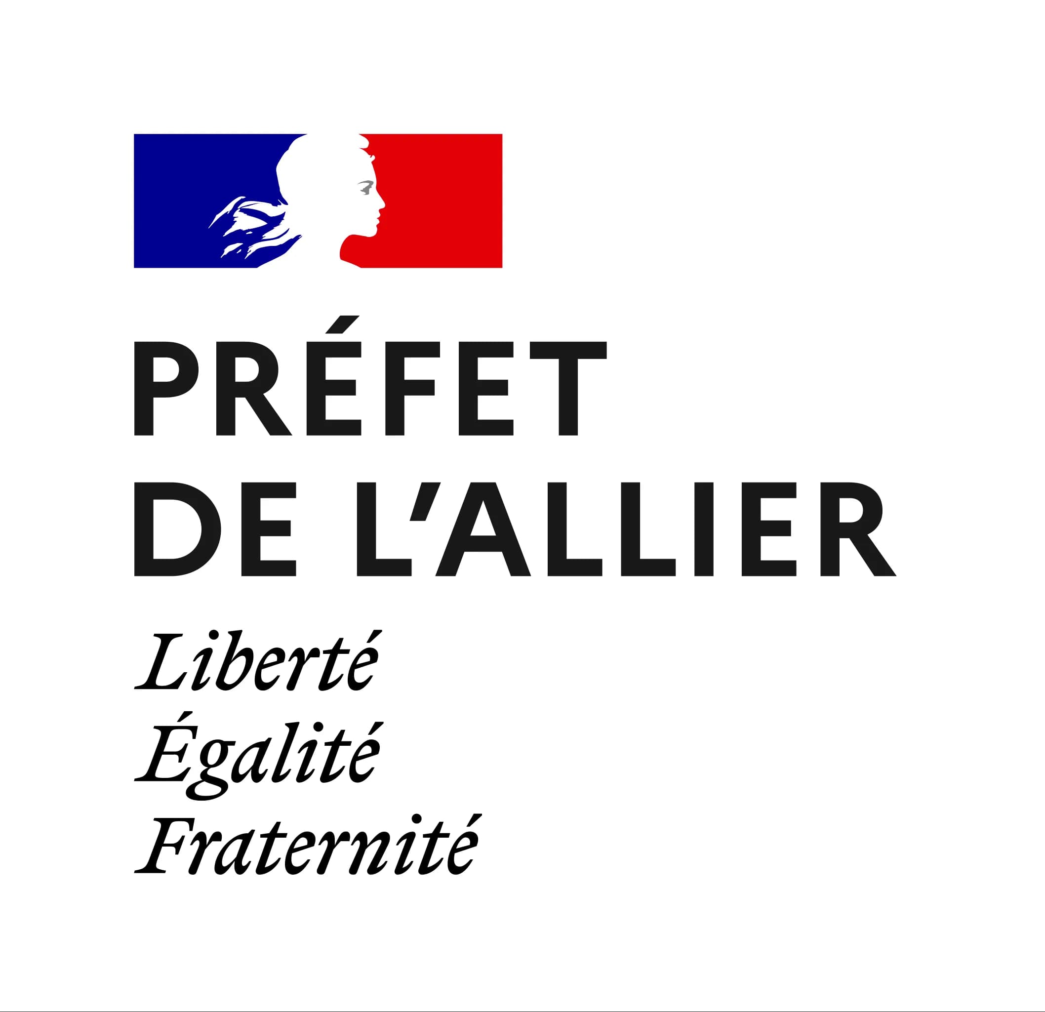 Logo DDETSPP DE L'ALLIER